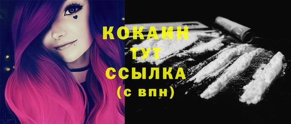 PSILOCYBIN Аркадак