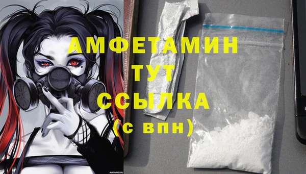 PSILOCYBIN Аркадак