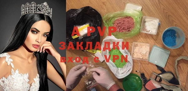 PSILOCYBIN Аркадак