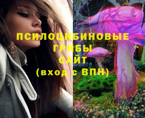 PSILOCYBIN Аркадак