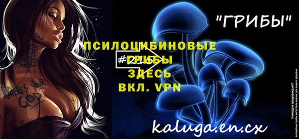 PSILOCYBIN Аркадак