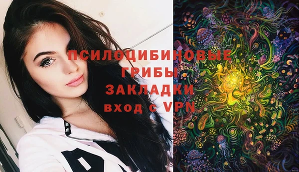 PSILOCYBIN Аркадак