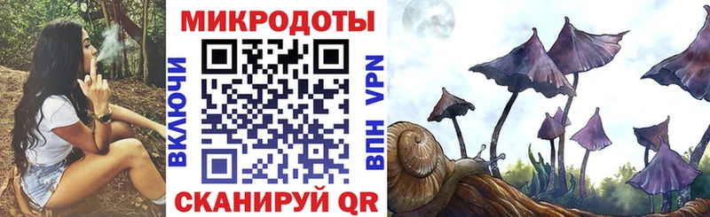 Псилоцибиновые грибы Psilocybine cubensis  где купить   Саяногорск 